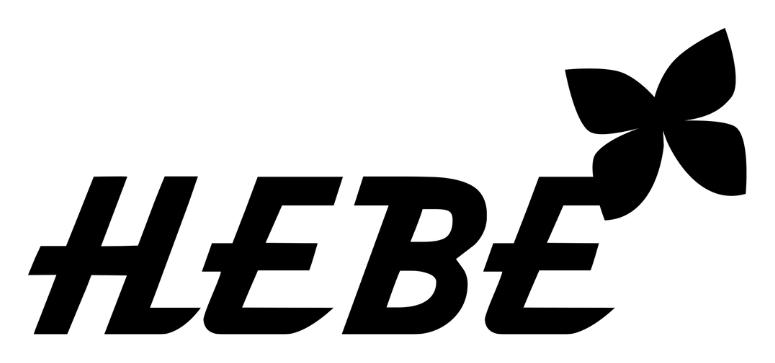 Hebe Städ
